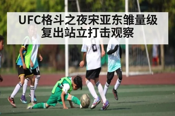UFC格斗之夜宋亚东雏量级复出站立打击观察